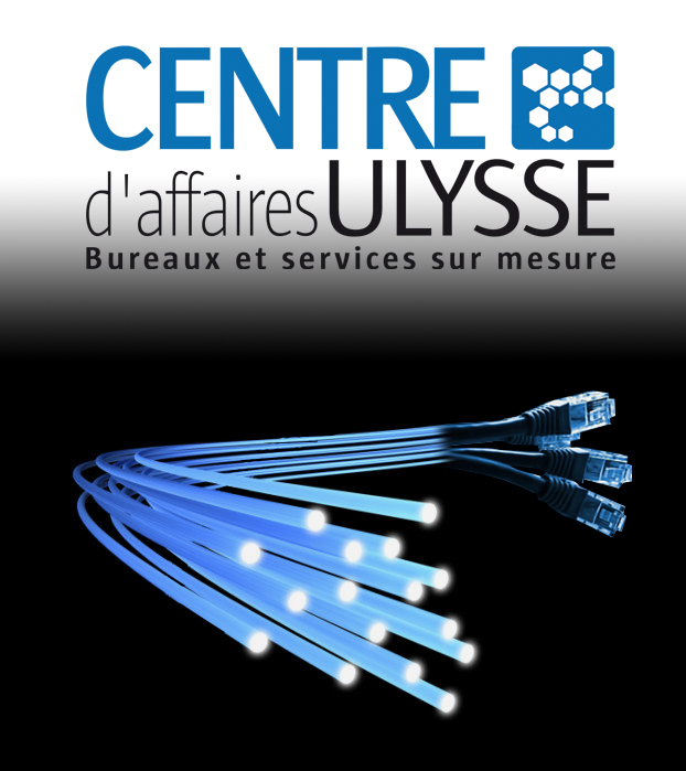 Fibre Optique Location Bureaux Mulhouse
